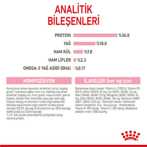 Text