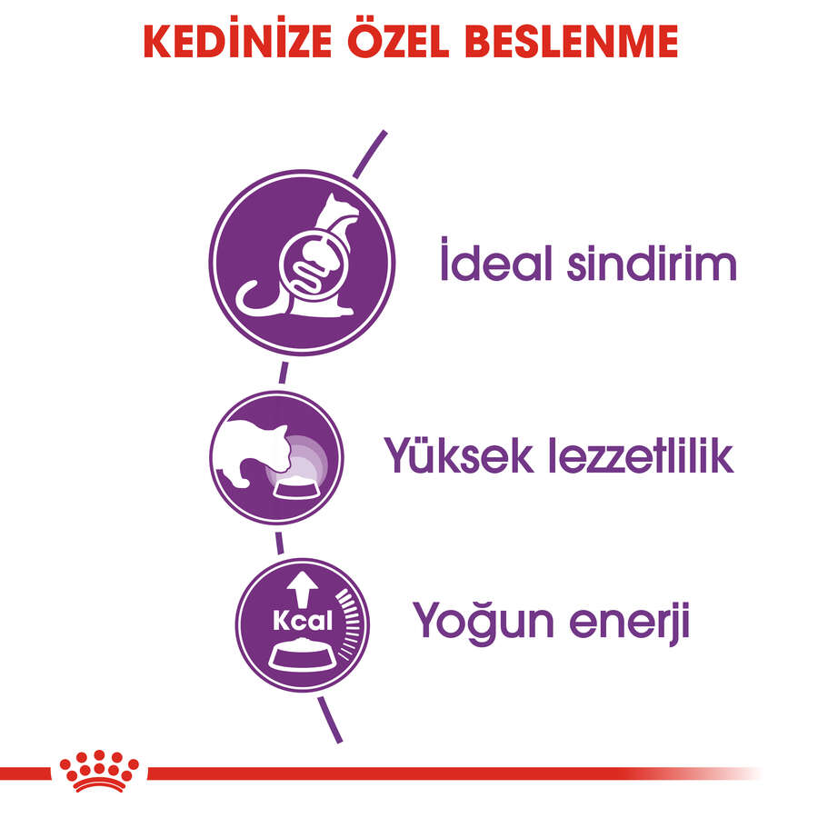 Text