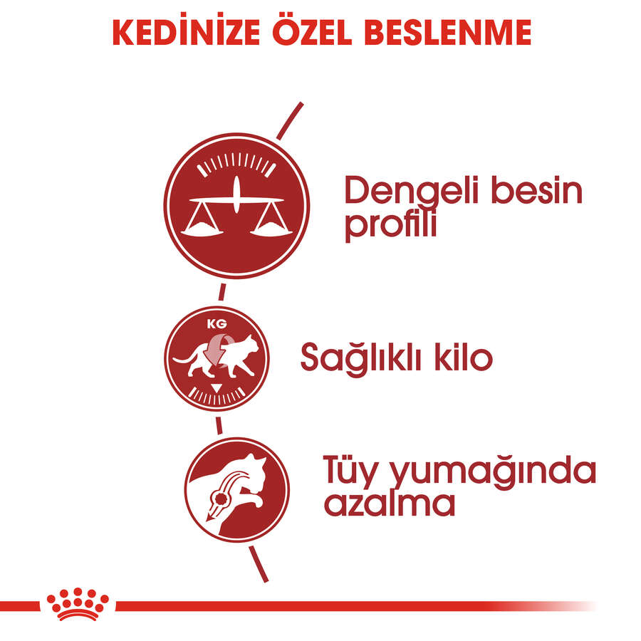 Text