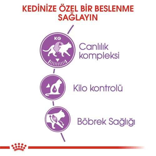 Text